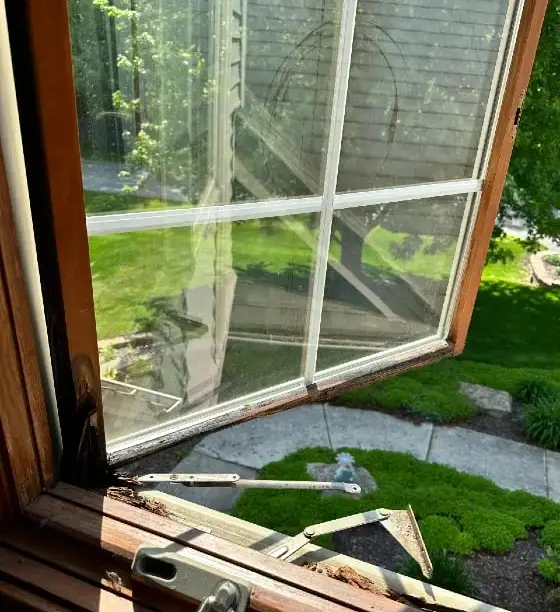Wood casement window with a failed operator caught mid-swing