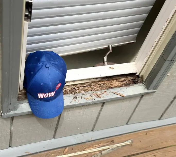 Window sill opened up for a rot probe during a WowFix assessment