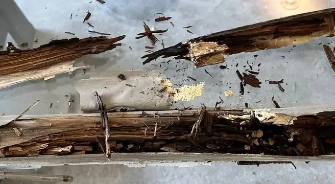 Wide rotted wood section after removal — WowFix rebuild underway