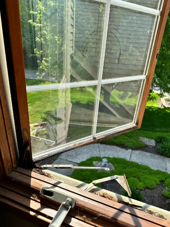 rotten window sash