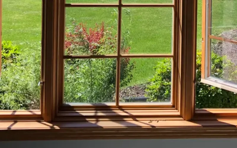 Transformed Windows: A Stunning Result After Restoration