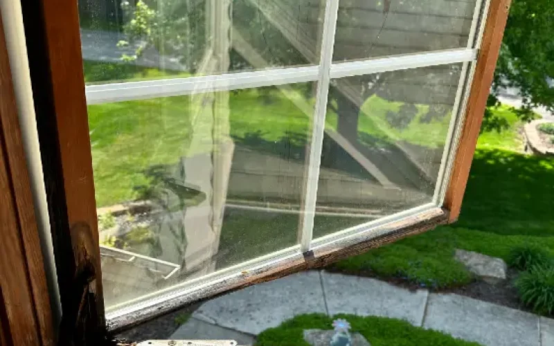 rotten window sash