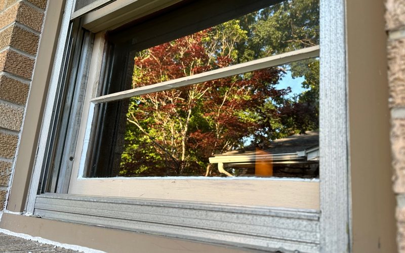 Double-hung window frame detail showing weatherstripping and tracks with autumn trees visible through glass in Charlotte home